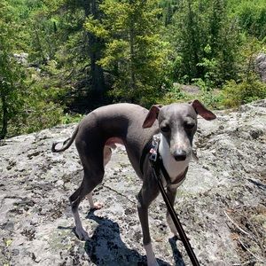 Meet your Posher, Léonie